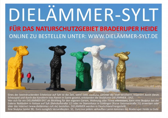 DIELÄMMER-SYLT-Braderuper-Heide-wwwHinweis